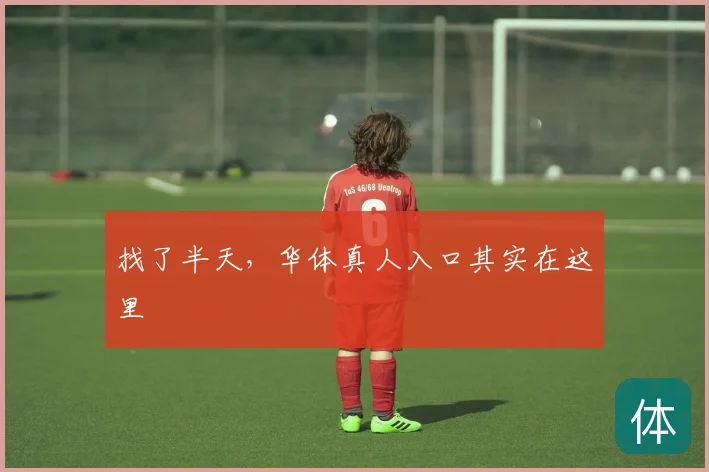 找了半天，华体真人入口其实在这里